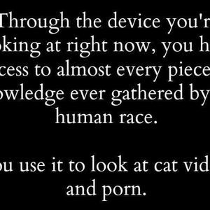 Meet your Posher, Joel